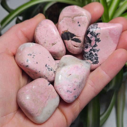 Rhodonite Tumbled Stone
