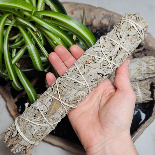White Sage Bundle