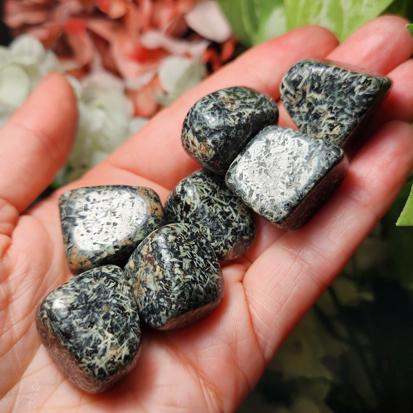 Chrysanthemum Stone