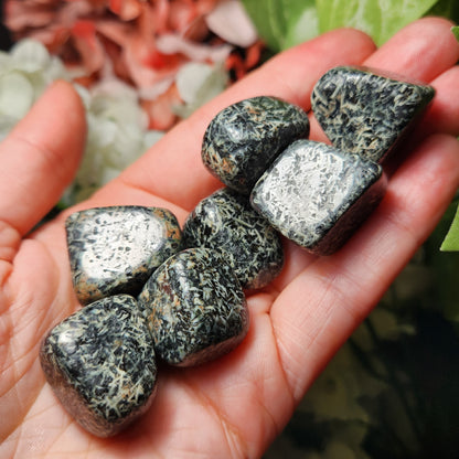 Chrysanthemum Stone
