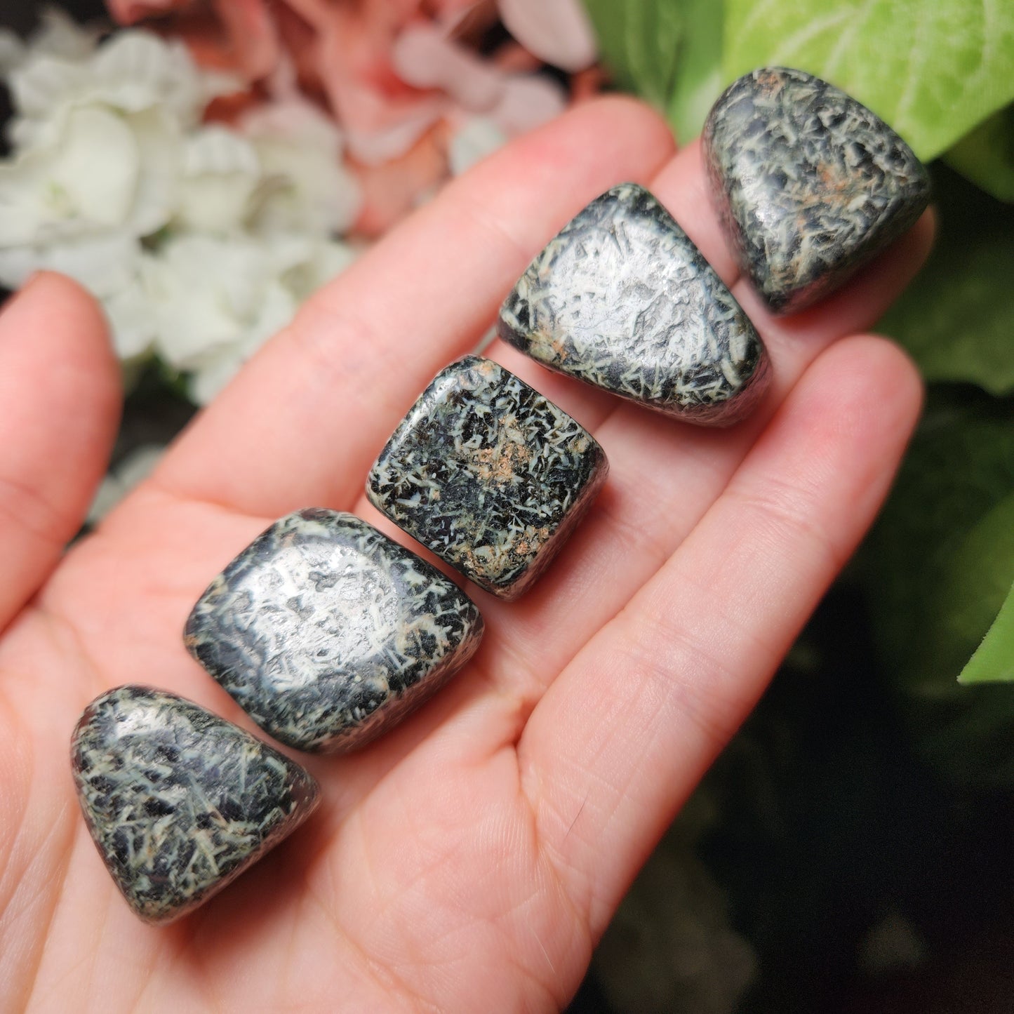 Chrysanthemum Stone