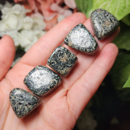 Chrysanthemum Stone