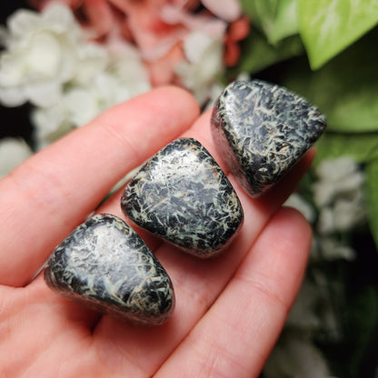 Chrysanthemum Stone