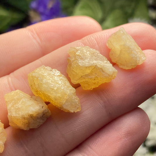 Agni Gold Danburite Crystal