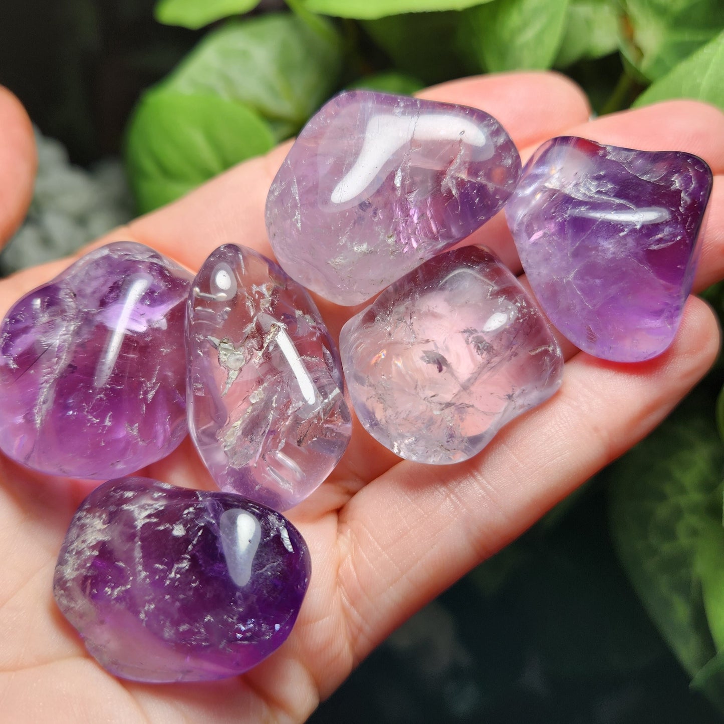 Brazilian Amethyst