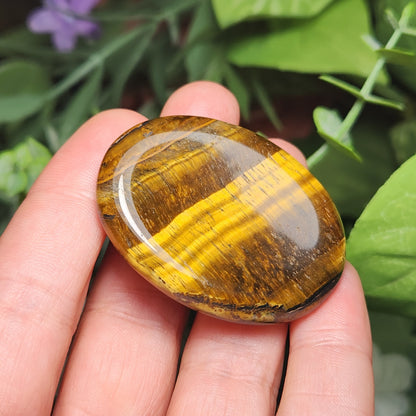 Tigers Eye Worry Stone
