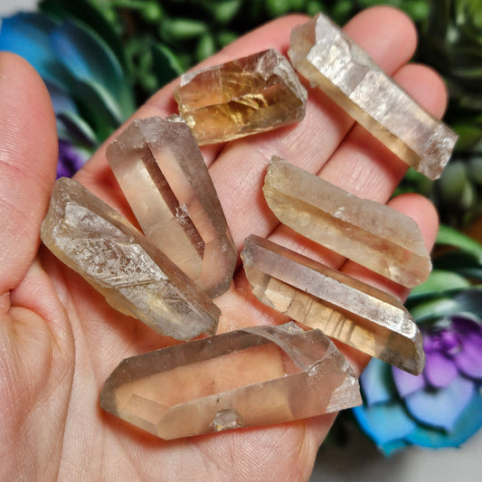 Congo Citrine
