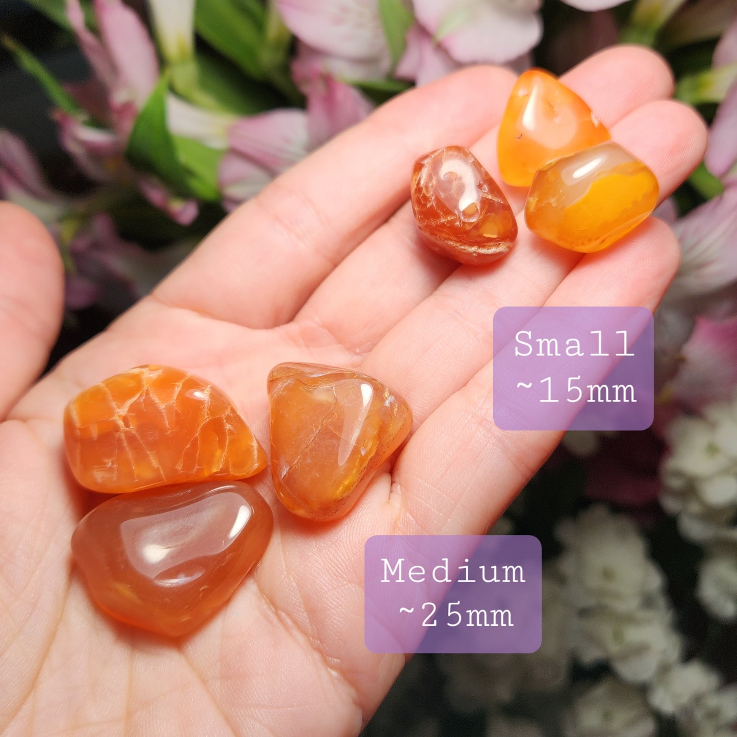 Malawi Carnelian Crystal