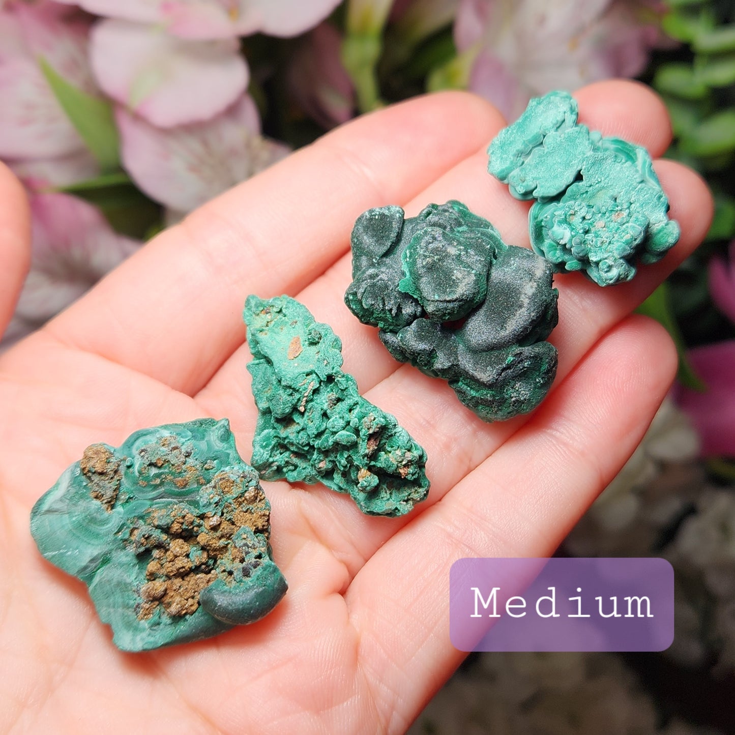 Velvet Malachite