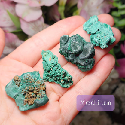 Velvet Malachite