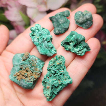 Velvet Malachite
