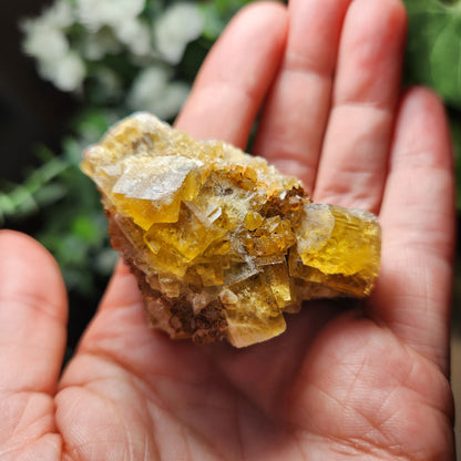 Yellow Fluorite Cluster