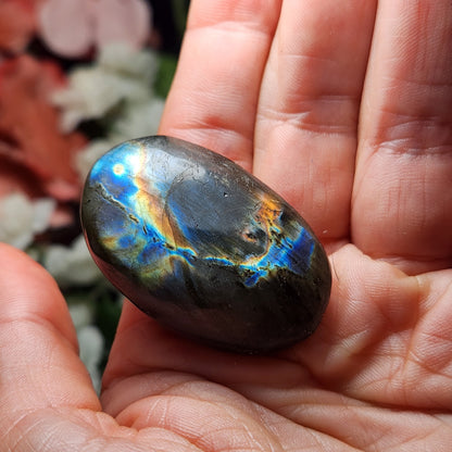 Spectrolite Palm