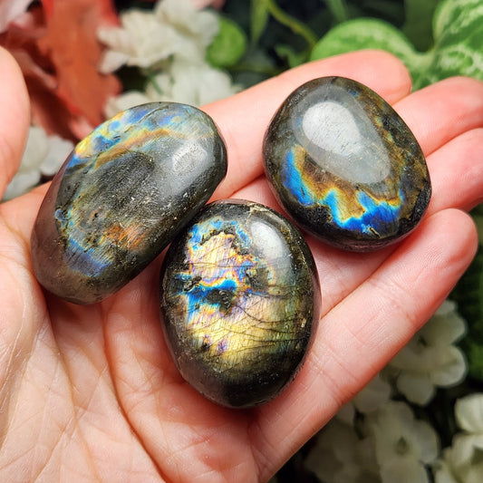 Spectrolite Palm