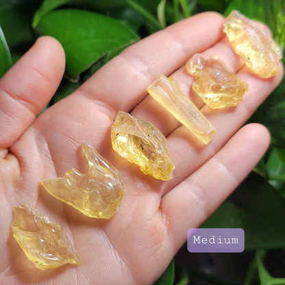 Natural Amber Specimen