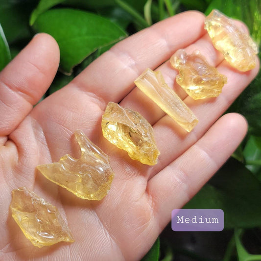 Natural Amber Specimen