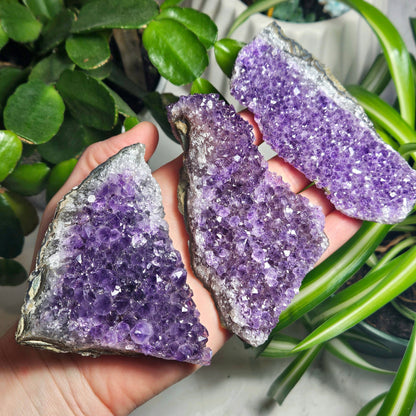 Raw Amethyst Cluster