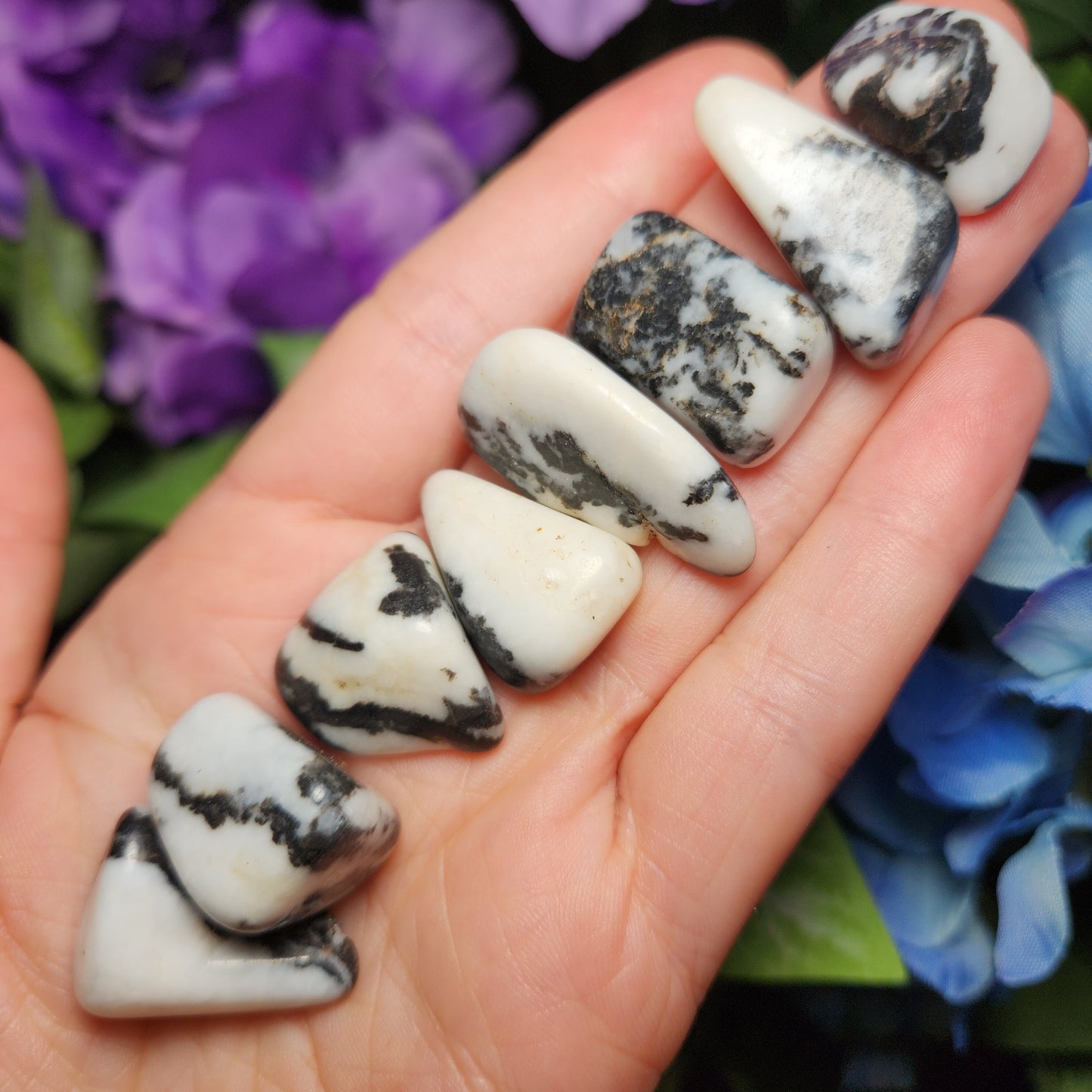 Zebra Jasper