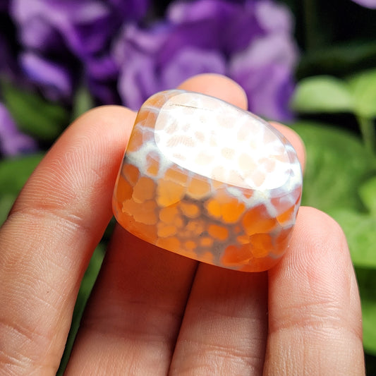 Snakeskin Agate