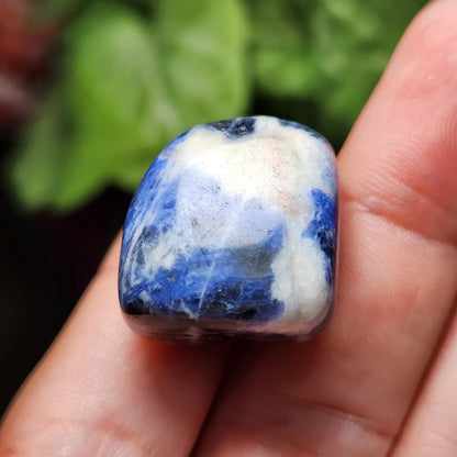 Blue Sodalite Crystal (.75