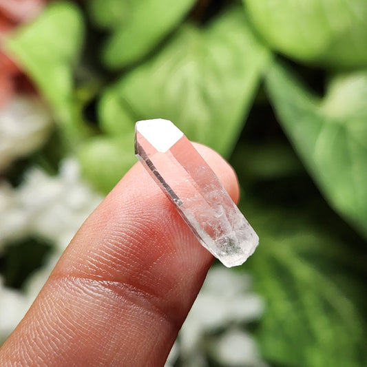 Mondo Quartz