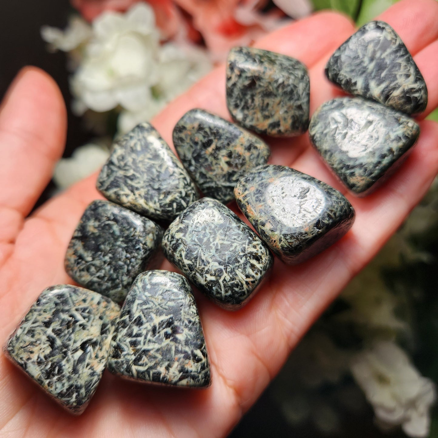 Chrysanthemum Stone