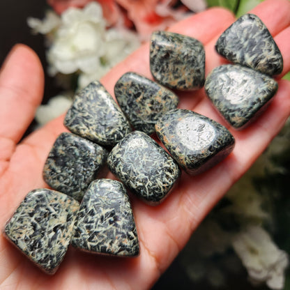 Chrysanthemum Stone
