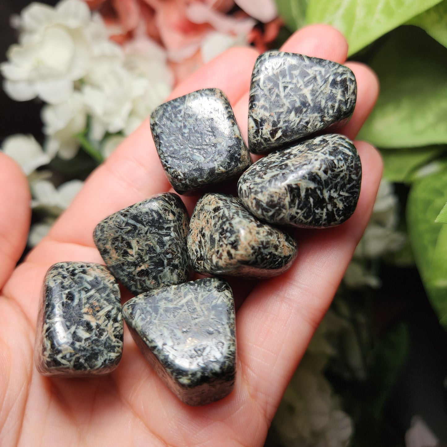 Chrysanthemum Stone
