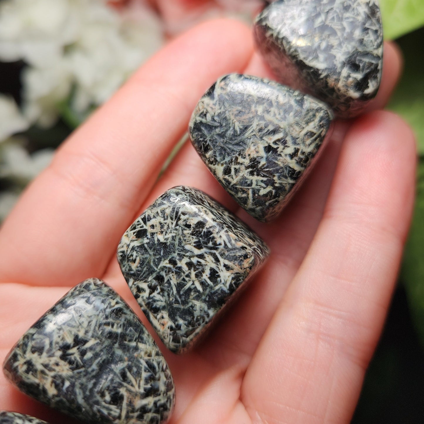 Chrysanthemum Stone