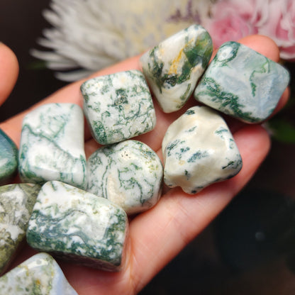 Moss Agate Crystal
