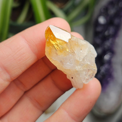 Citrine Crystal Point, Brazilian Citrine Specimen
