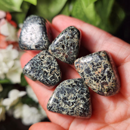 Chrysanthemum Stone