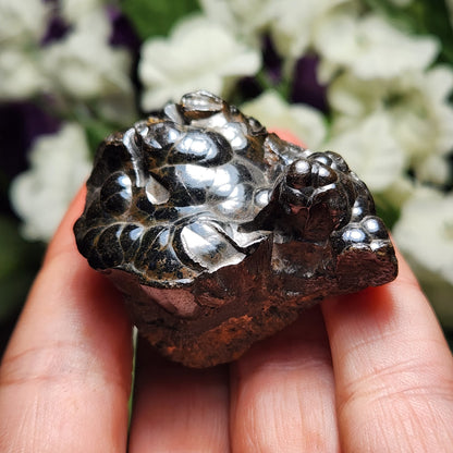 Botryoidal Hematite