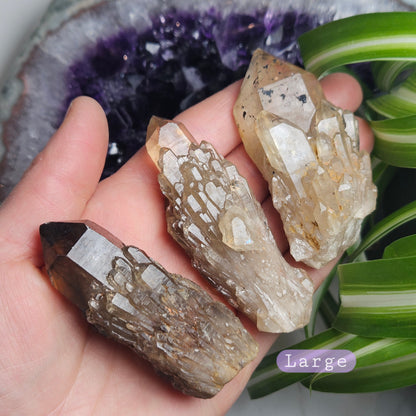 Kundalini Citrine Crystal