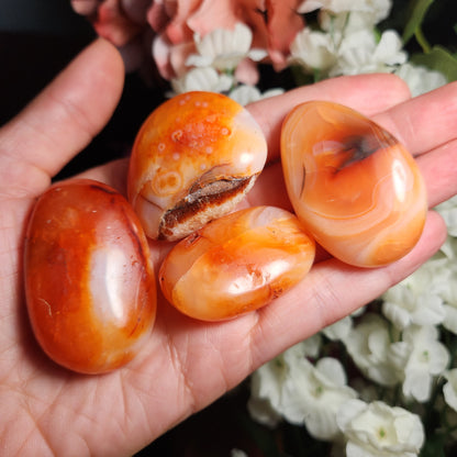 Carnelian Palm Stone