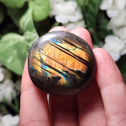 Spectrolite Palm