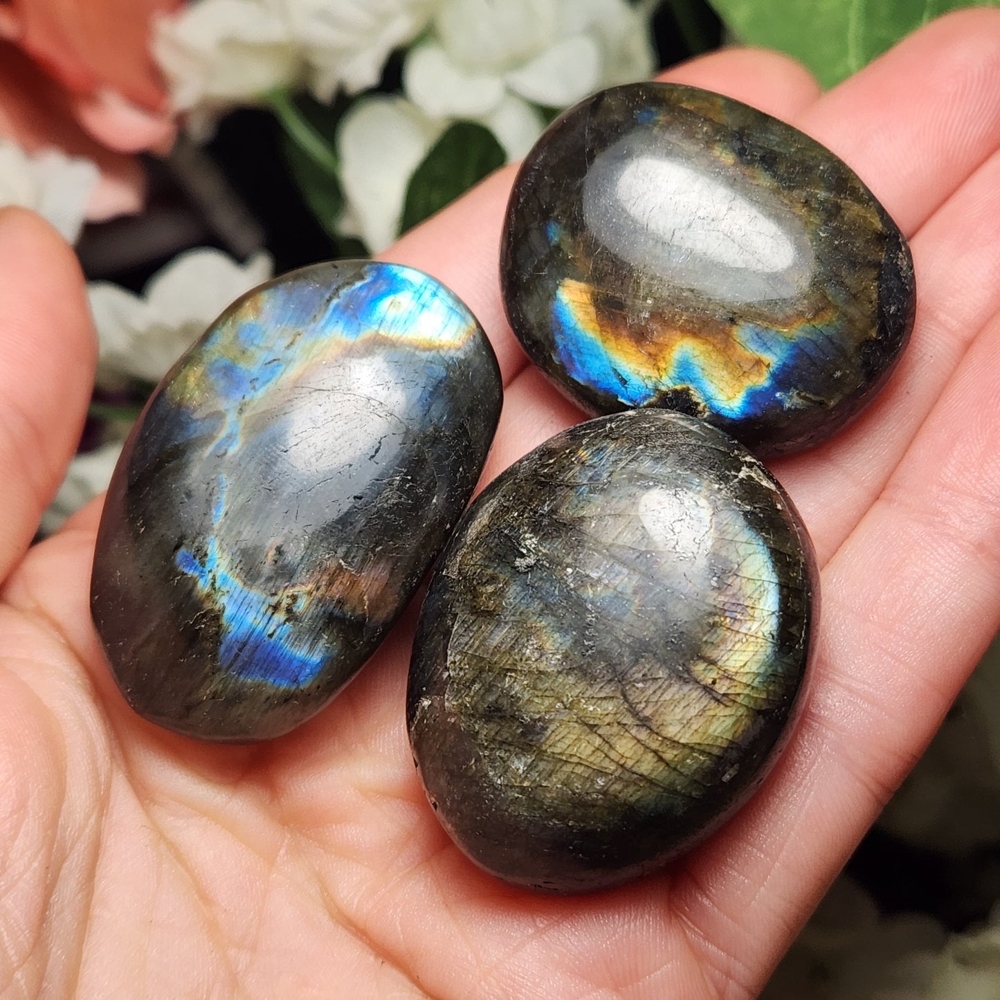 Spectrolite Palm
