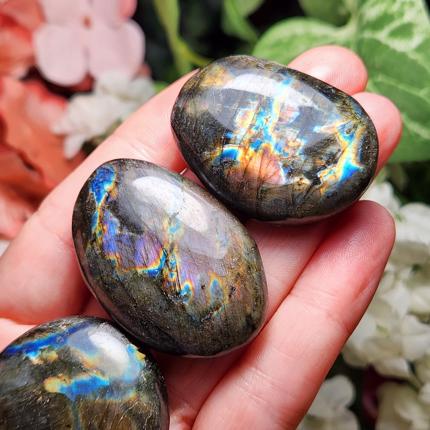 Spectrolite Palm