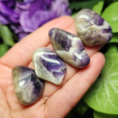 Amegreen Crystal