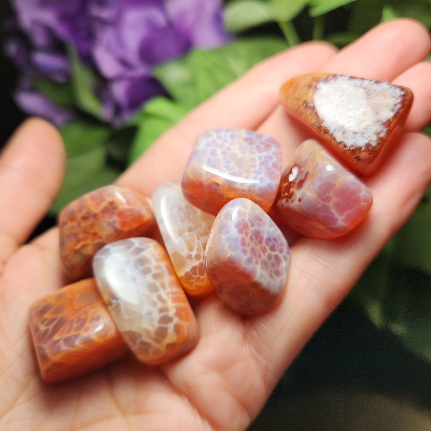 Snakeskin Agate