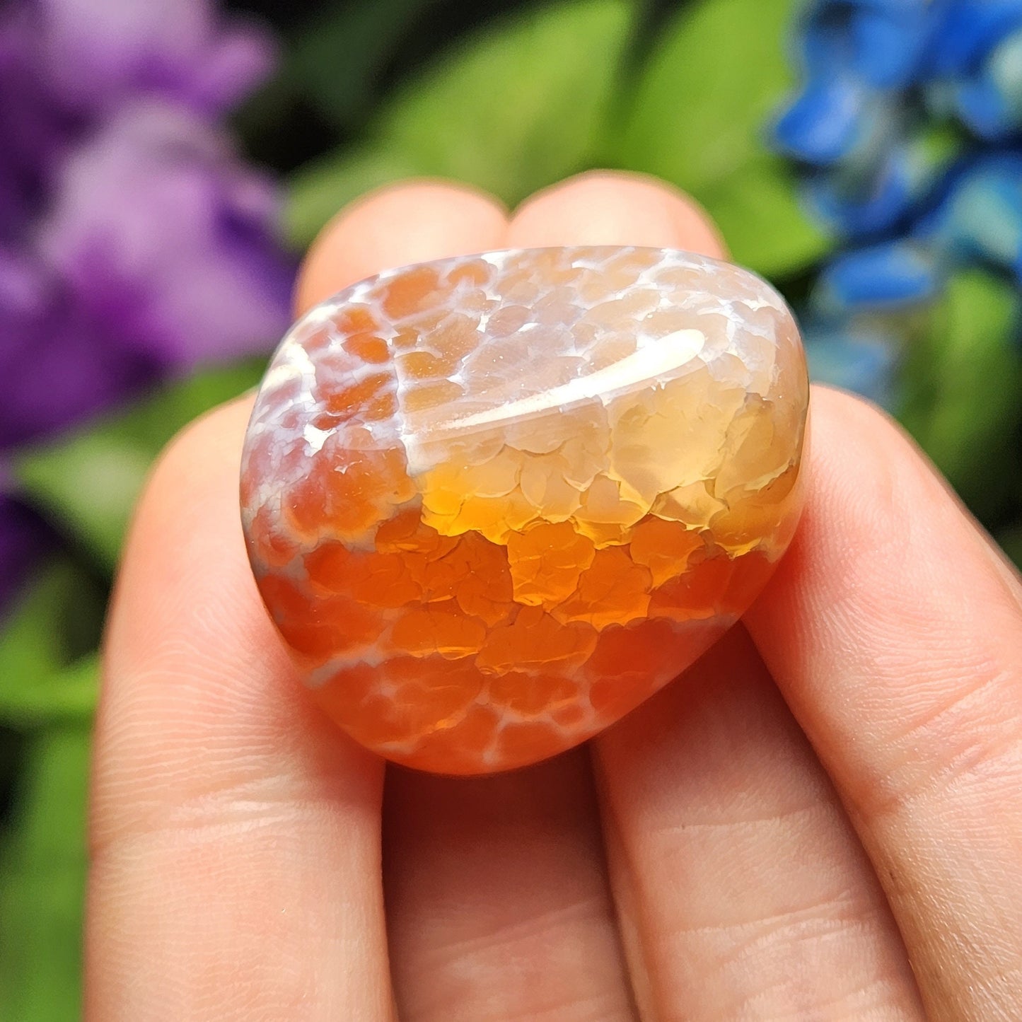 Snakeskin Agate