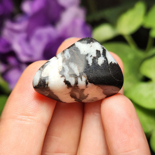 Zebra Jasper