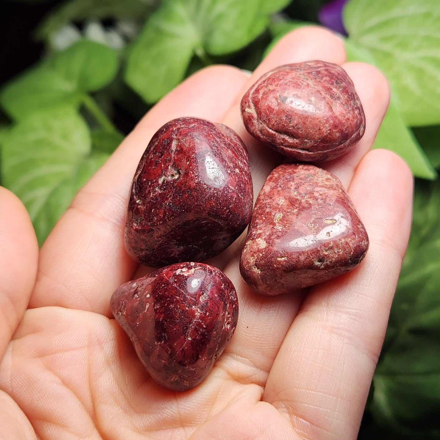 Red Wine Quartz