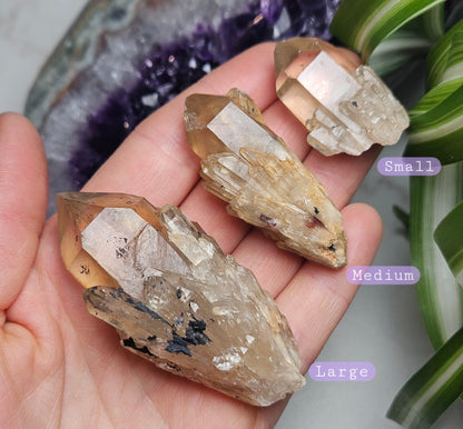 Kundalini Citrine Crystal
