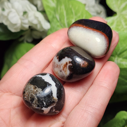 Sardonyx Crystal