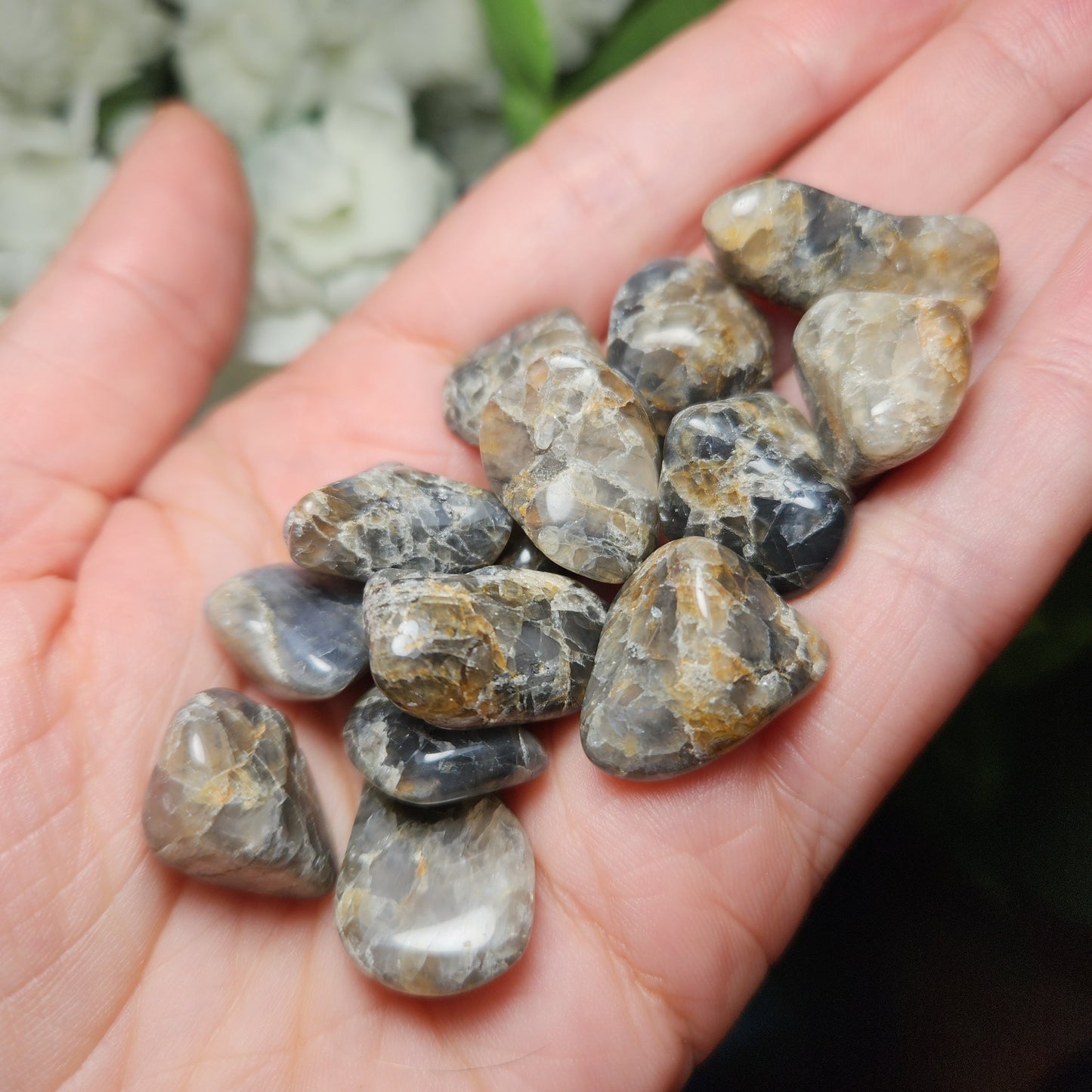 Blue Riebeckite in Quartz