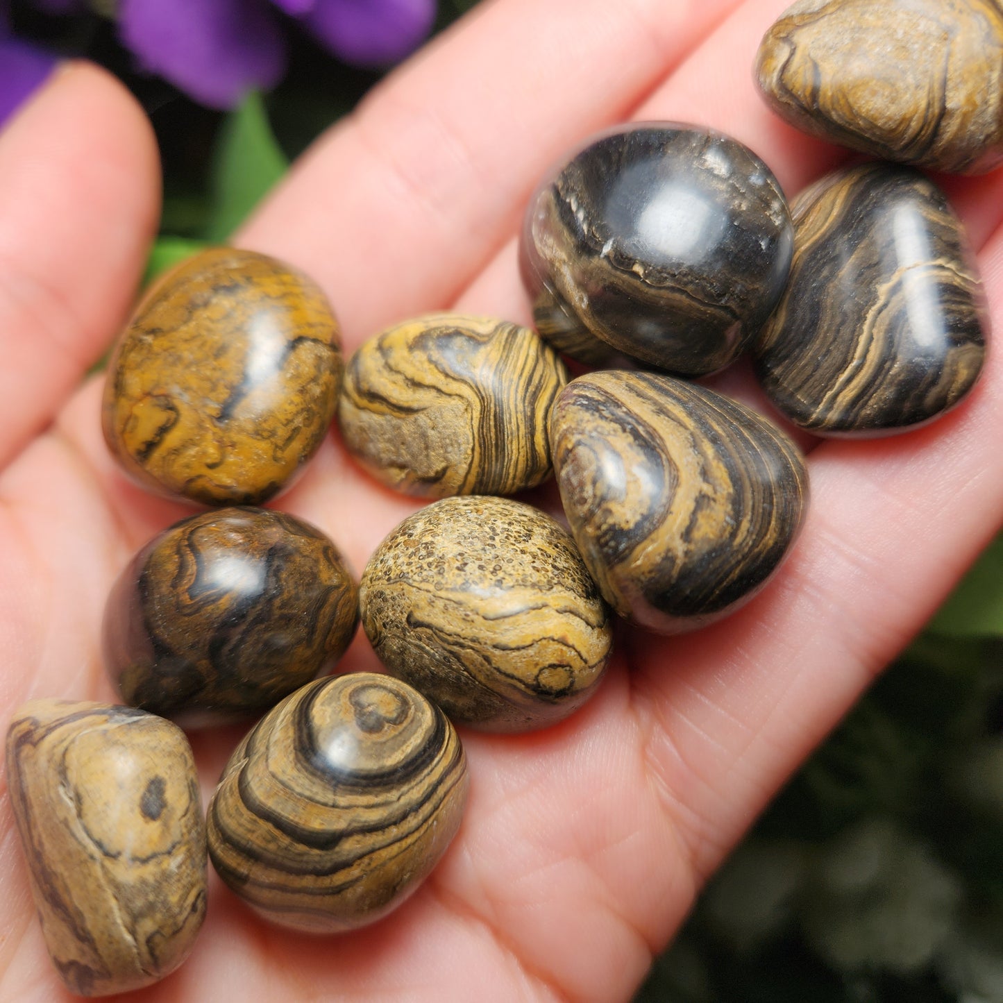 Stromatolite Fossil 0.75", Tumbled Fossil Specimen, Polished Stromatolite Stone