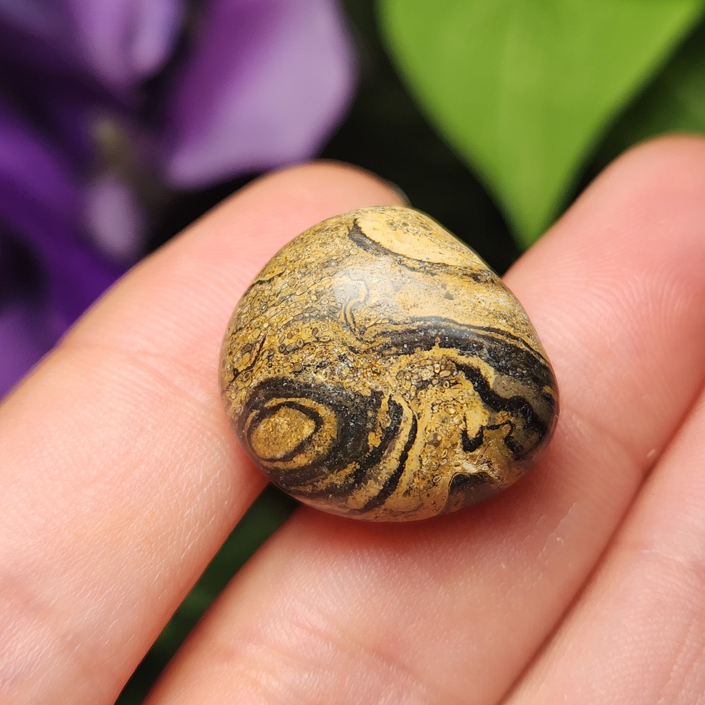 Stromatolite Fossil 0.75", Tumbled Fossil Specimen, Polished Stromatolite Stone