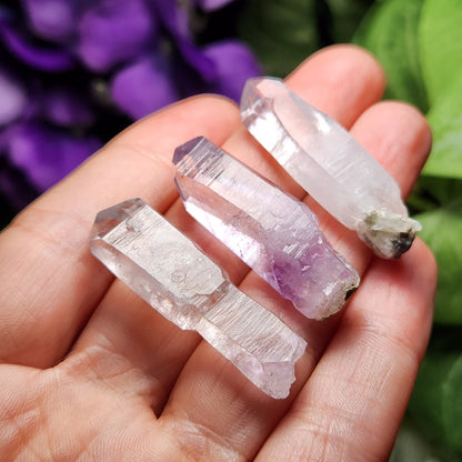 Vera Cruz Amethyst Crystal, 6~10 grams