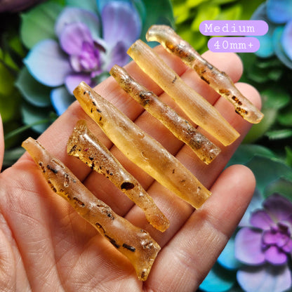 Amber Wand with Insects, Natural Young Amber with Bug Inclusions